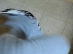 scahrfes azubi luder (10)